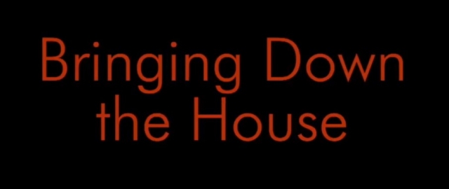 Bringing Down the House by Jason Ladanye